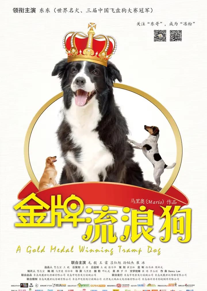 金牌流浪狗