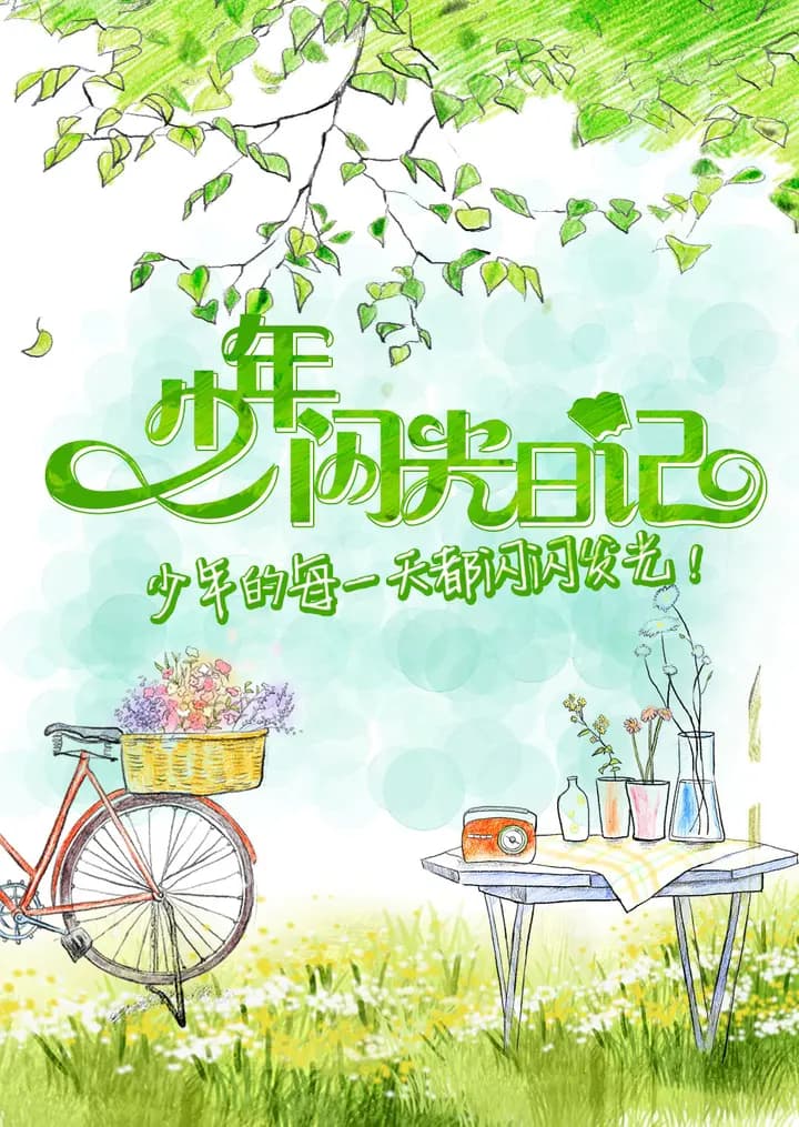 少年闪光日记