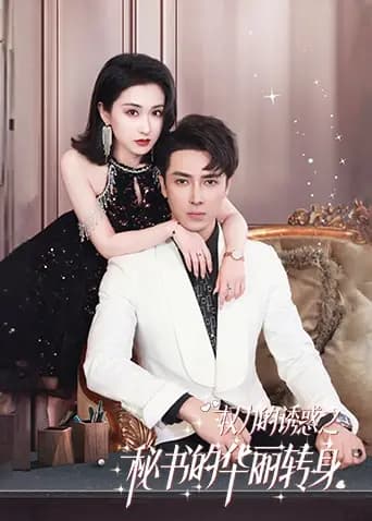 权力的诱惑之秘书的华丽转身