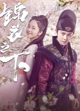 锦衣之下