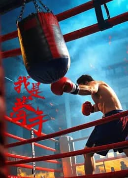 我是拳手