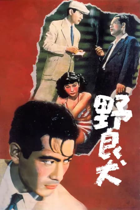 野良犬