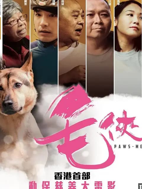 毛侠