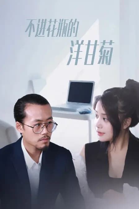 不进花瓶的洋甘菊