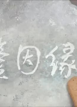 鉴因缘