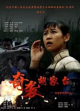 奇袭胡家台
