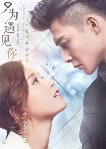 只为遇见你 DVD版
