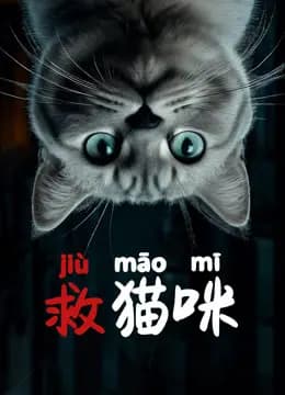 救猫咪