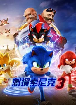 刺猬索尼克3