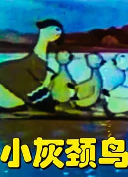 小灰颈鸟